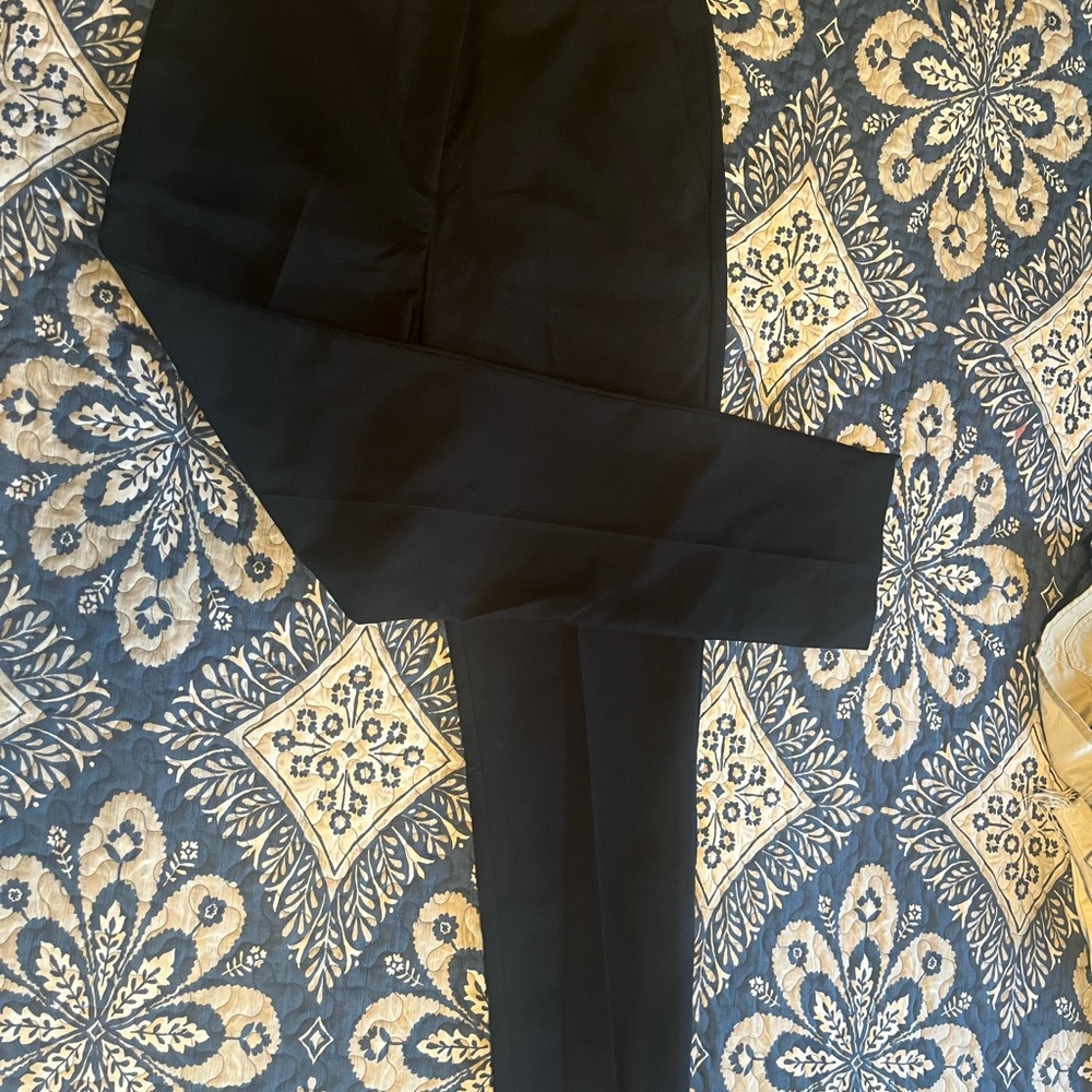 Zara Classic Navy Capris